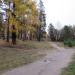 Поляна в городе Екатеринбург
