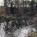 Пруд в городе Екатеринбург