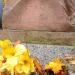 The grave of Stefan Olecki in Warsaw city