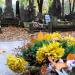 The grave of Józio Lewinowicz in Warsaw city