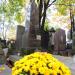 The grave of Aleksander Walicki in Warsaw city