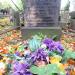 The grave of Antoni Badzikiewicz in Warsaw city