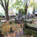 The grave of Antoni Badzikiewicz in Warsaw city