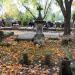 The grave of Leontyna Gross in Warsaw city