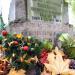 The grave of Leontyna Gross in Warsaw city