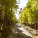 Lundy Canyon Campground