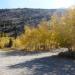 Lundy Canyon Campground