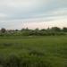 Урочище Разбоинские болота в городе Шилово