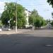 Газон в городе Житомир