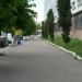 Газон в городе Житомир