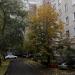 ул. Димитрова, 4 в городе Воронеж