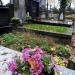 The grave of Andrzej Braun in Warsaw city