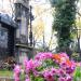 The grave of Zuzanna Dowmontt in Warsaw city