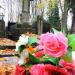 The grave of Malczewskich family in Warsaw city
