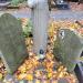 The grave of Wiktorja Szadebergowa in Warsaw city
