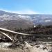 Ramsheela Bridge in Kullu city