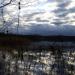 Leckie Lake aka Shchekashevo