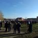 Газон в городе Павловский Посад