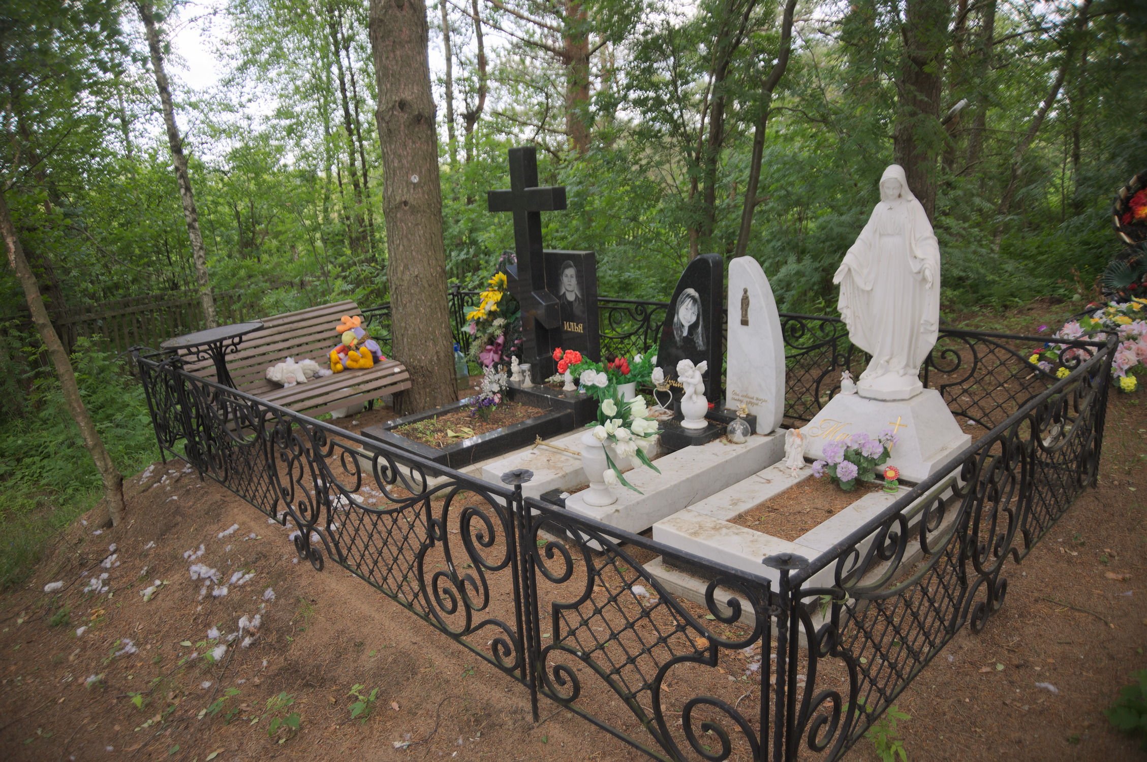 Кладбище в деревне Мытно.