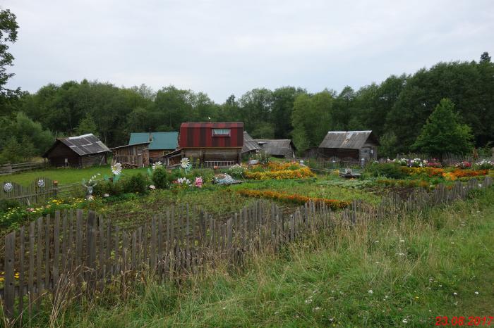 Село святое Осташковский район