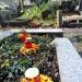 The grave of Adolf Nowaczyński in Warsaw city
