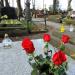 The grave of Marja Kuszell in Warsaw city