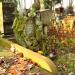 The grave of Miecio Dąbrowski in Warsaw city