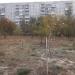 Аллея героев АТО и Небесной Сотни в городе Северодонецк