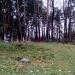 Кладовище