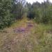 Шламоотстойник в городе Дзержинск