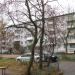 ул. Комсомольца Зверева, 2 в городе Великие Луки