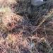 DK-10 Немецкий бункер с НП в городе Гатчина