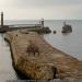 Whitby East Pier