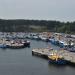 Basen rybacki in Ustka city