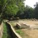 Sri Chamarajendra Zoological Garden in Mysuru city