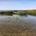 Kanonerskaya sandbank