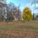 Сквер в городе Чугуев