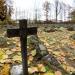 Cmentarz z I Wojny Światowej (pl) in Stadt Szczytno