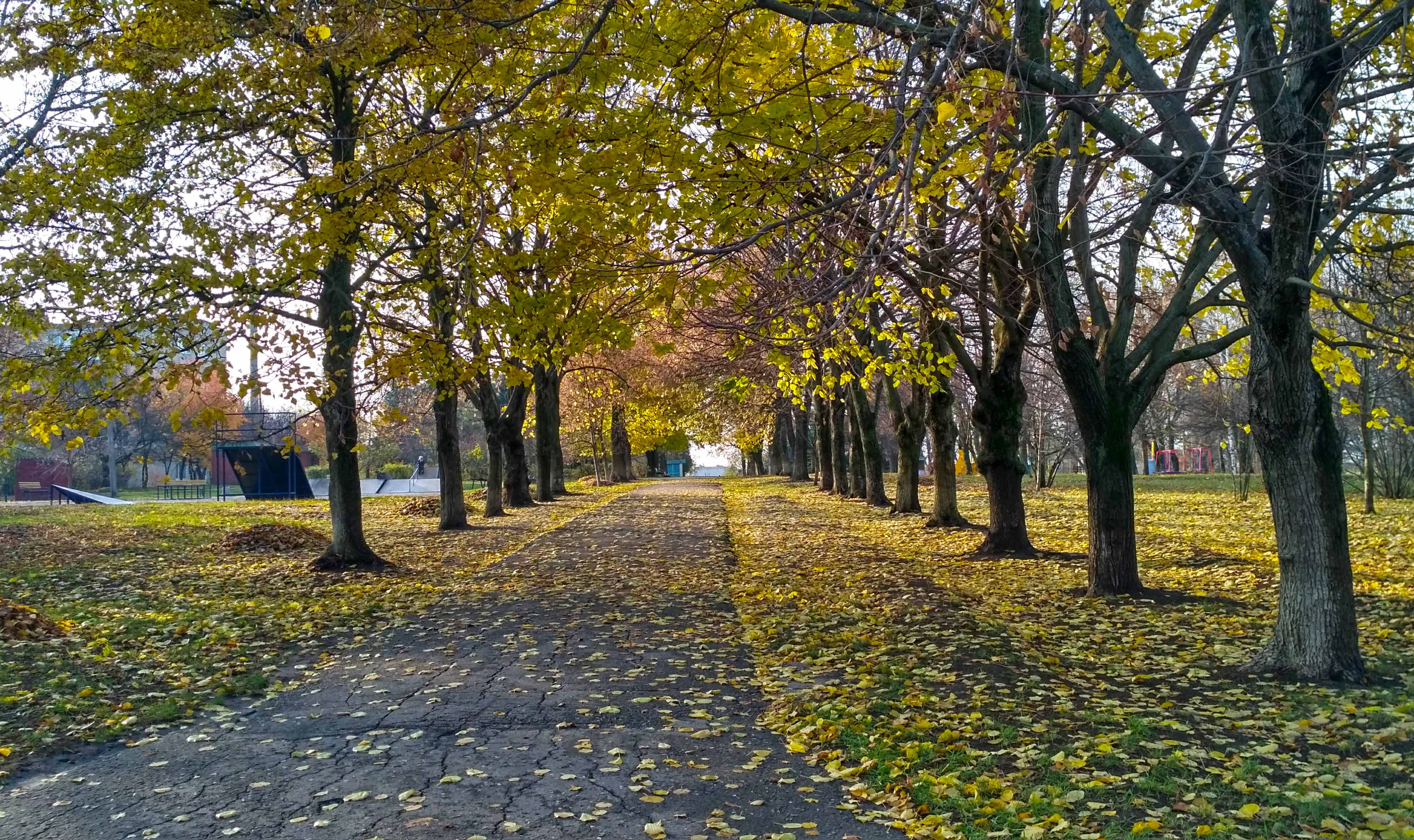 Ilia Riepin Park - Chuhuiv