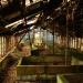 School greenhouse in Prypiat city