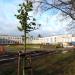 Teren ZS nr 5 in Gdynia city