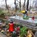 Stary cmentarz in Gdynia city