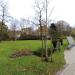 Skwer miejski in Sopot city