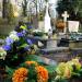 The grave of Zofia Sikorska in Warsaw city