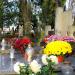 The grave of Czajkowski family in Warsaw city