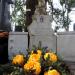 The grave of Halinka Librowska in Warsaw city