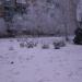Угловой дом в городе Торецк