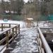 Домик моржей в городе Москва