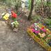 Кладбище домашних животных в городе Екатеринбург