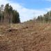 Болото в городе Тверь
